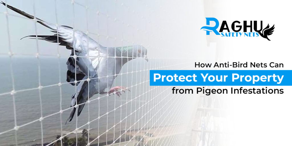 How Anti-Bird Nets Can Protect Your Property from Pigeon Infestations