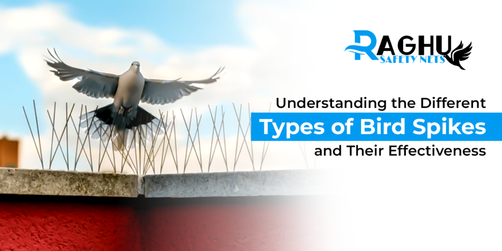 Understanding the different types of Bird spikes and thier  Effectiveness